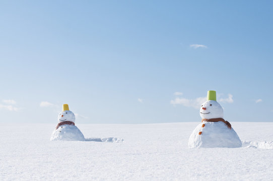 雪だるまと雪原