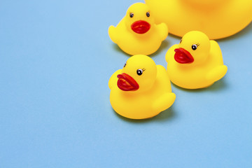 Rubber toy of yellow color Mama-duck and small ducklings on a blue background. The concept of maternal care and love for children, the upbringing and education of children