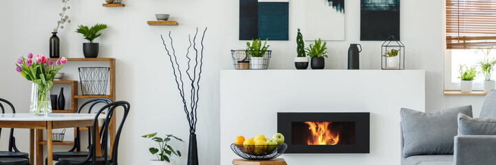 Panorama of a white open space dining and living room interior with a bio fireplace, plants and...