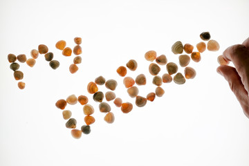 Close-up of a male hand making up the phrase My Dream made of seashells on a white background. The concept of rest or holiday. Isolated.