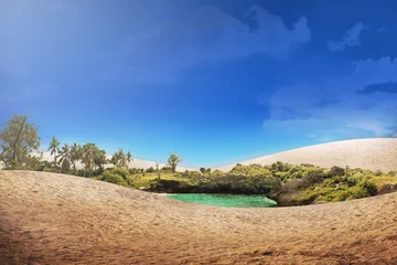 Foto auf Acrylglas Sandige Wüste Wunderschöne Oase in der Wüste