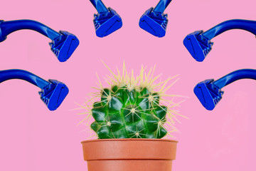 green cactus in a brown pot and a razors on a pink background. the concept of depilation, epilation...