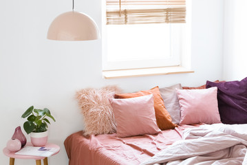 Pink pillows on bed next to table with plant in bright bedroom interior with window and lamp. Real...