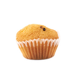 Chocolate corn muffin isolated