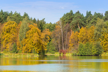 Autumn landscape reflected in the lake