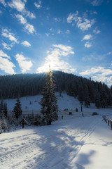 Obraz na płótnie Canvas Winter landscape