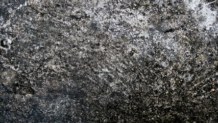 Dark gray cement textured and background.