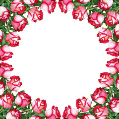 Floral frame with red and white rose flowers