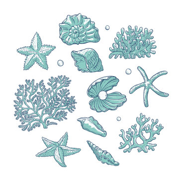 Vector set sea shells stars corals and pearls different shapes. Clamshells starfishes polyps monochrome outline sketch illustration isolated on white background for design marine tourist cards logos.
