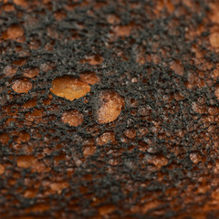 Over-toasted white bread texture