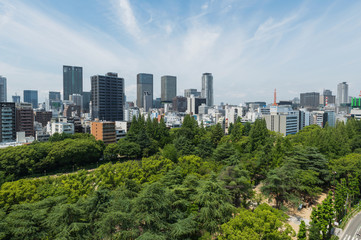 Fototapeta premium Park Tsubasa i miasto Osaka