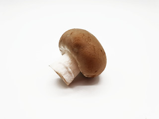 Frische braune Champignons freigestellt auf neutralem Hintergrund