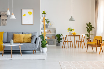 Poster above grey sofa with yellow cushions in open space interior with chairs at dining table....