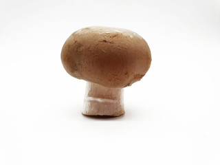Frische braune Champignons freigestellt auf neutralem Hintergrund