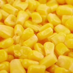 Surface coated with the canned corn