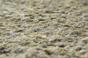 Background of natural stone.
