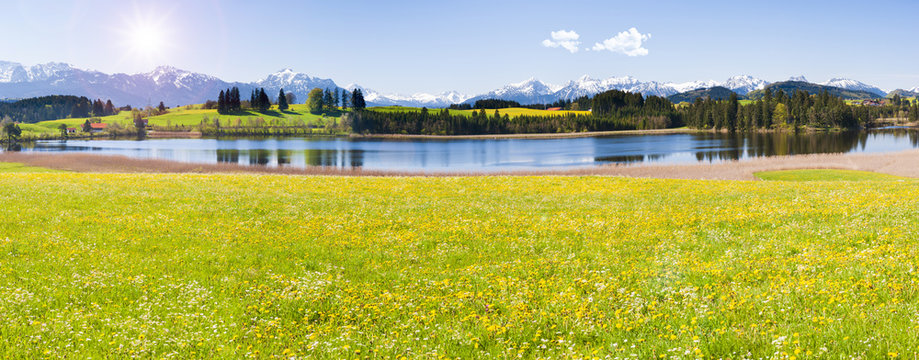 Fr&uuml;hling im Allg&auml;u bei F&uuml;ssen