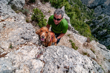 cocker dog with backpack on mountain trail