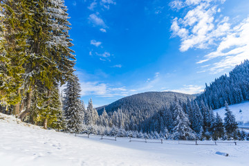 Obraz premium Winter landscape