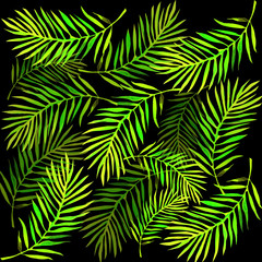 palm leaves background