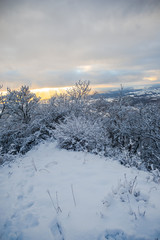 Winter landscape with fresh snow