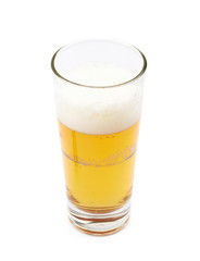 Tall glass of lager beer isolated