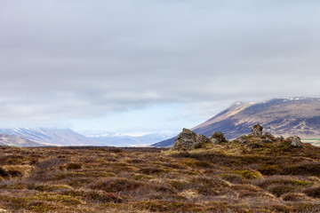 Yellow grass and snowy tops of mountains on a stony rocky desert landscape of Iceland