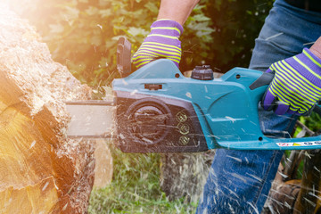 Obraz premium Chainsaw. Chainsaw in move cutting wood. Man cutting wood with saw. Dust and movements. Close-up of woodcutter sawing chain saw. Blade of a chainsaw. Professional chainsaw blade cutting log of wood.