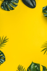 Fototapeta na wymiar Tropical leaves on yellow background