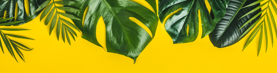 Fototapeta na wymiar Tropical leaves on yellow background