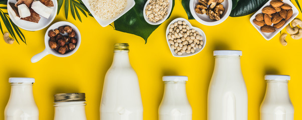 dairy free milk substitute drinks and ingredients