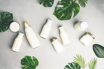 Various bottles of milk and tropical leaves 