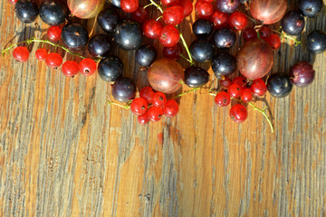 Red and black currant on wooden background. Summer berry