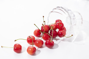 たくさんのさくらんぼ