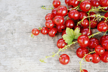 Red currant on wooden background. Summer berry