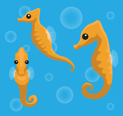 Cute Seahorse Cartoon Vector Illustration