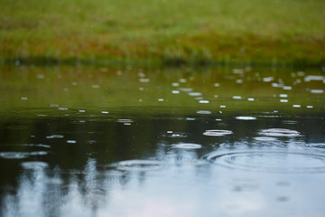 Rain on a lake