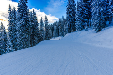 View in The Alps mountains 