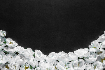 Fresh white roses on the black, dark background. Condolence card. Empty place for emotional,...