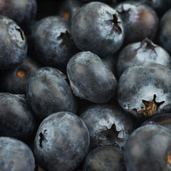Obraz premium Surface coated with the blueberries