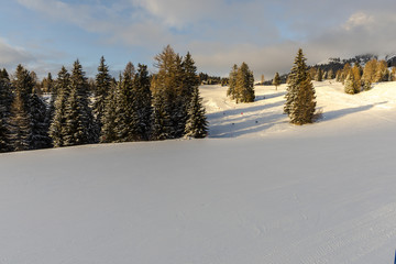 Ski resort in Dolomites Mountains, Carreza , Italy