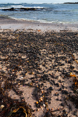 Stormy sea landscape in the Iceland