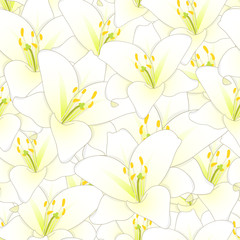 White Lily Flower Seamless Background