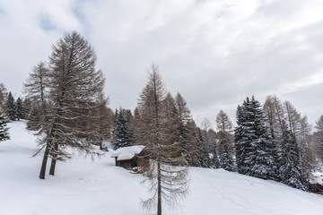 Obraz na płótnie Canvas Landscape in Dolomites Mountains, ItaLy