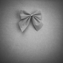 the bow on grey background with vignette, monochrome photo. mock up for text, congratulations, phrases, lettering
