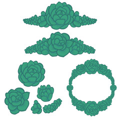 turquoise succulent arrangements - vector design elements