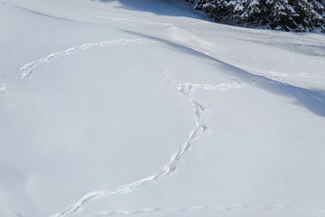 Fototapeta na wymiar Snow traces at ski resort