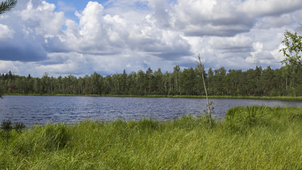 Forest lake in a midland of Europe