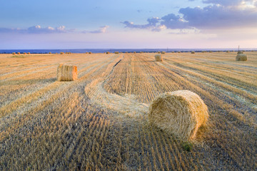 Fototapeta na wymiar roll of wheat on the field in summer evening in Ukraine