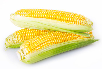 Fresh corn on white background